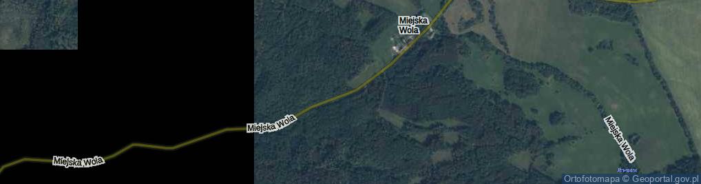 Zdjęcie satelitarne Miejska Wola ul.